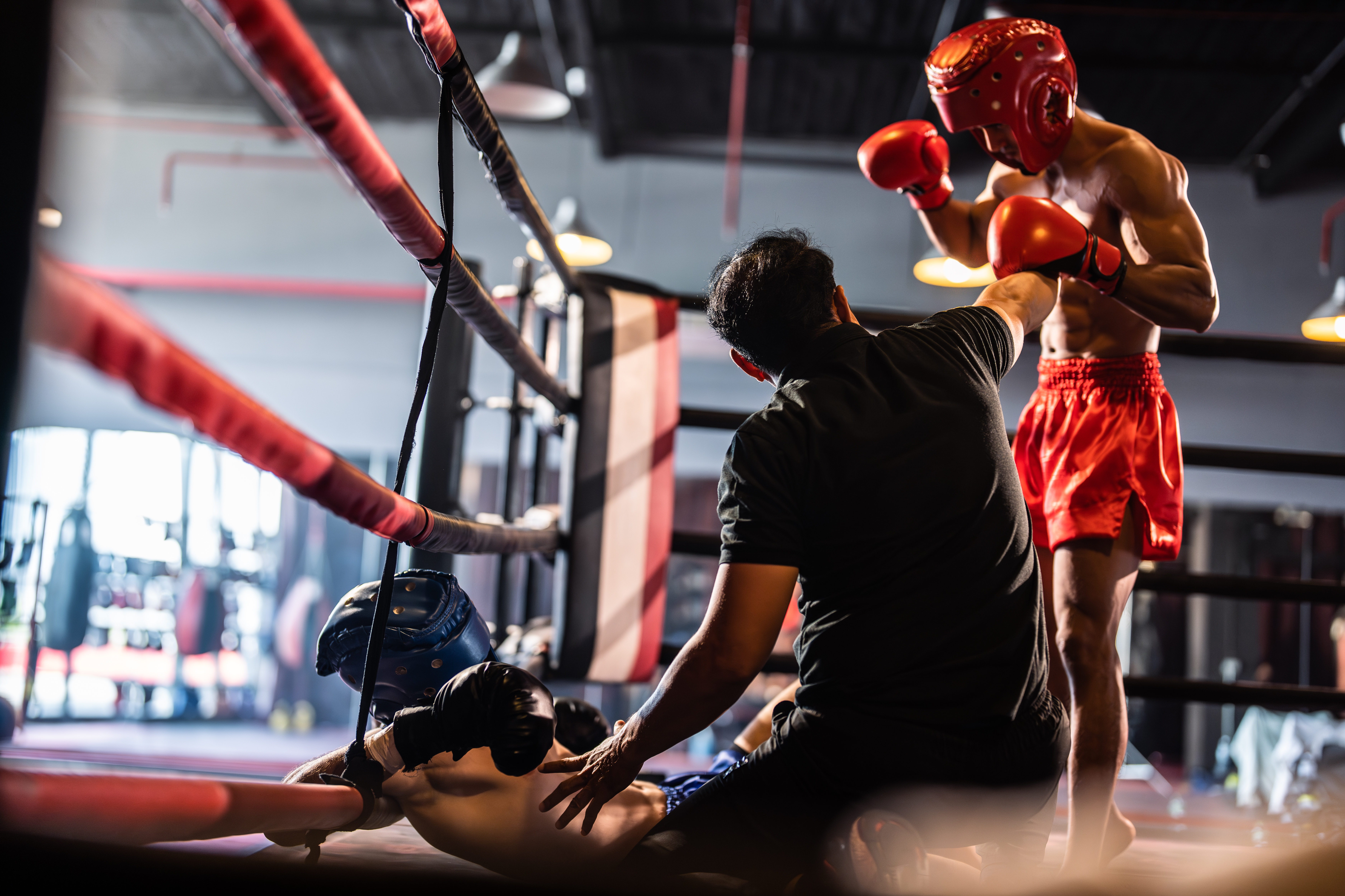Boxing visual 1